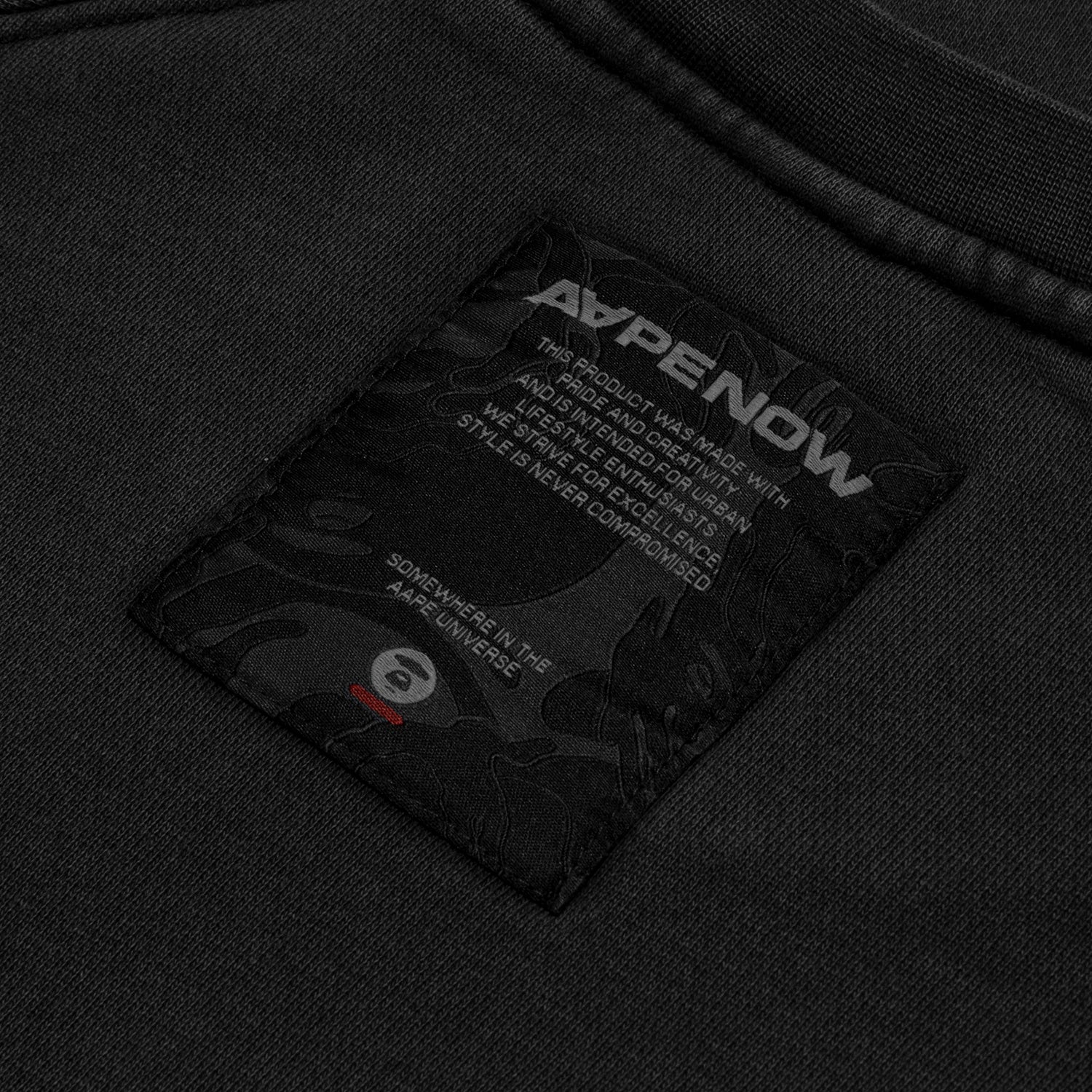 AAPENOW CREW NECK SWEATSHIRT