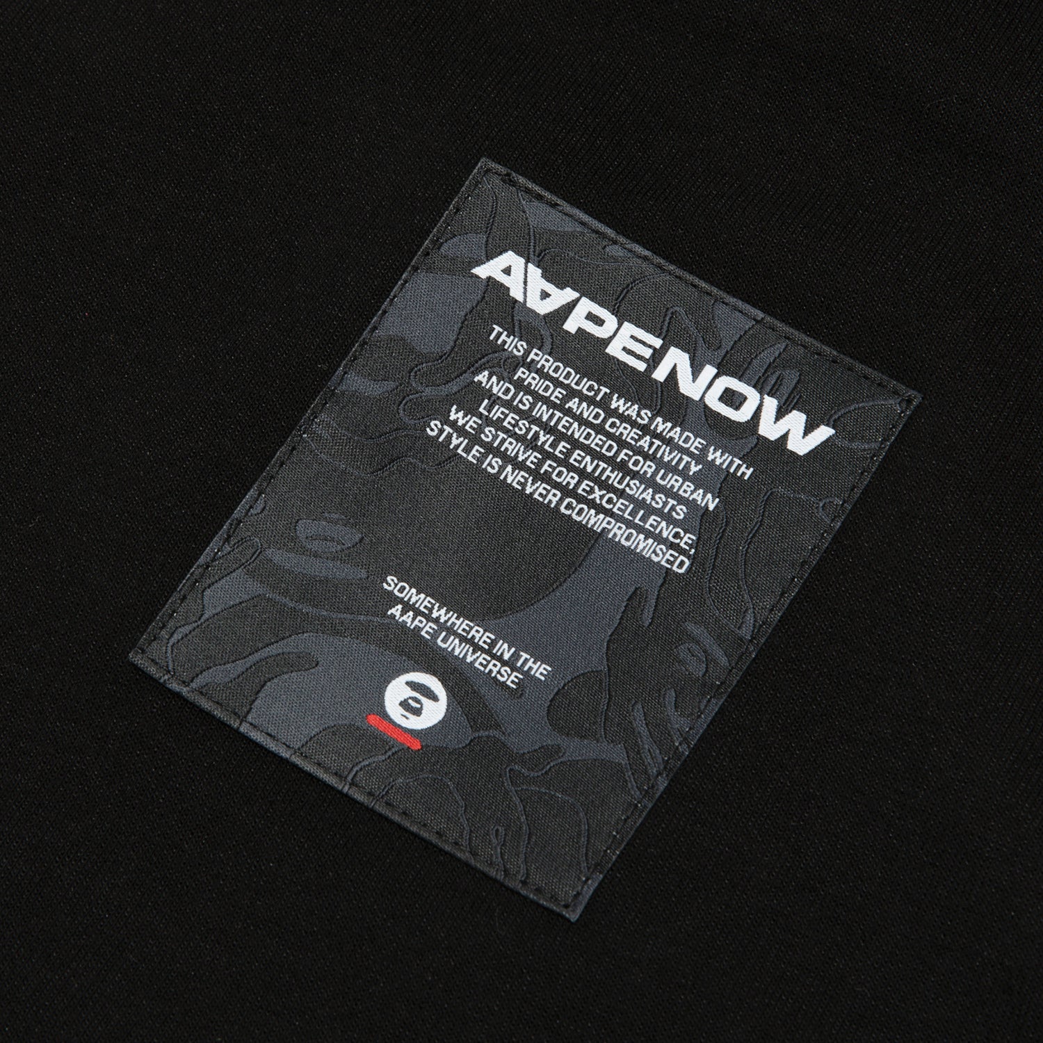 AAPENOW HOODIE
