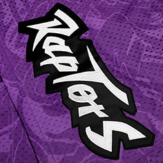 AAPE X MITCHELL & NESS RAPTORS MESH SHORTS