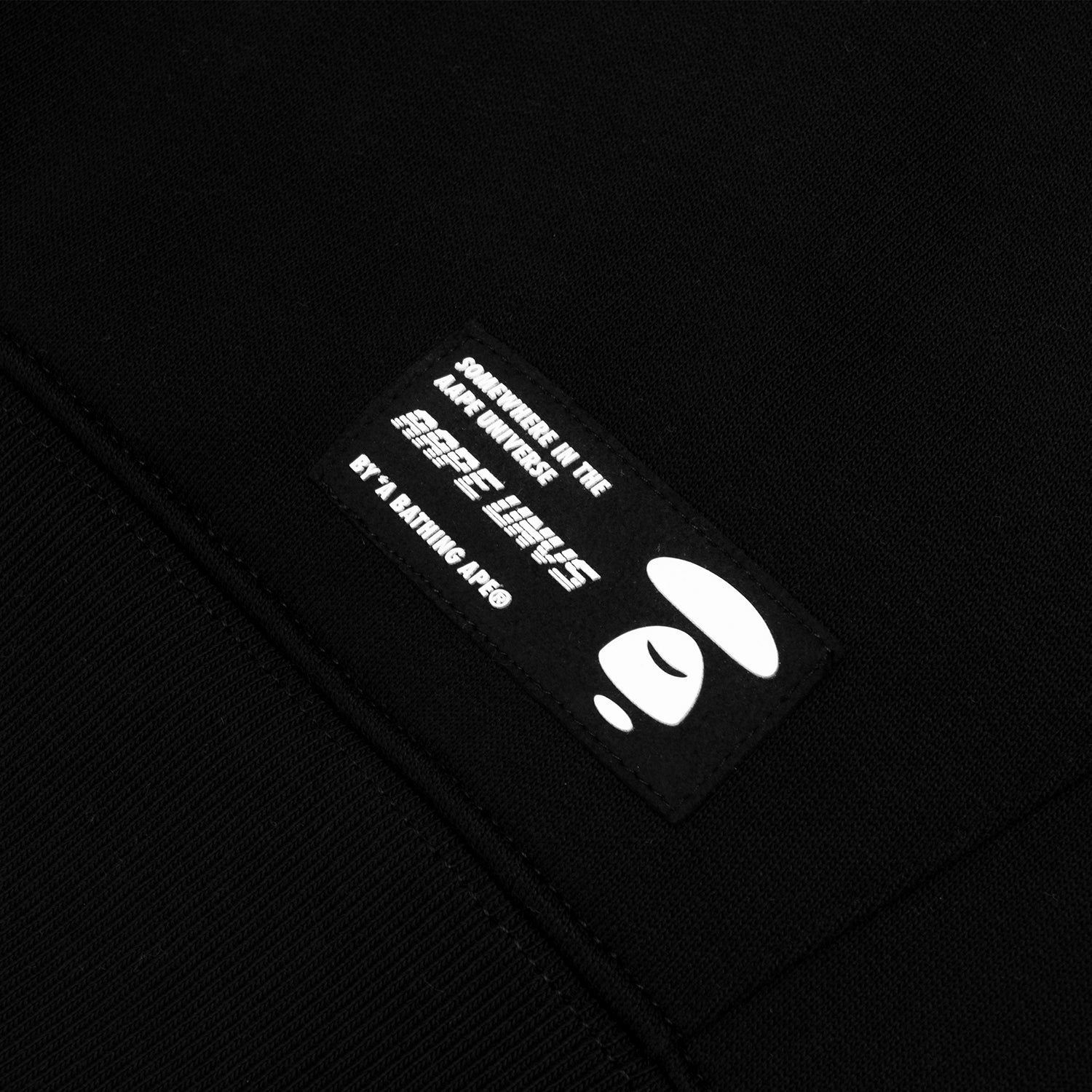 AAPE APES AND PLANET EART HOODIE