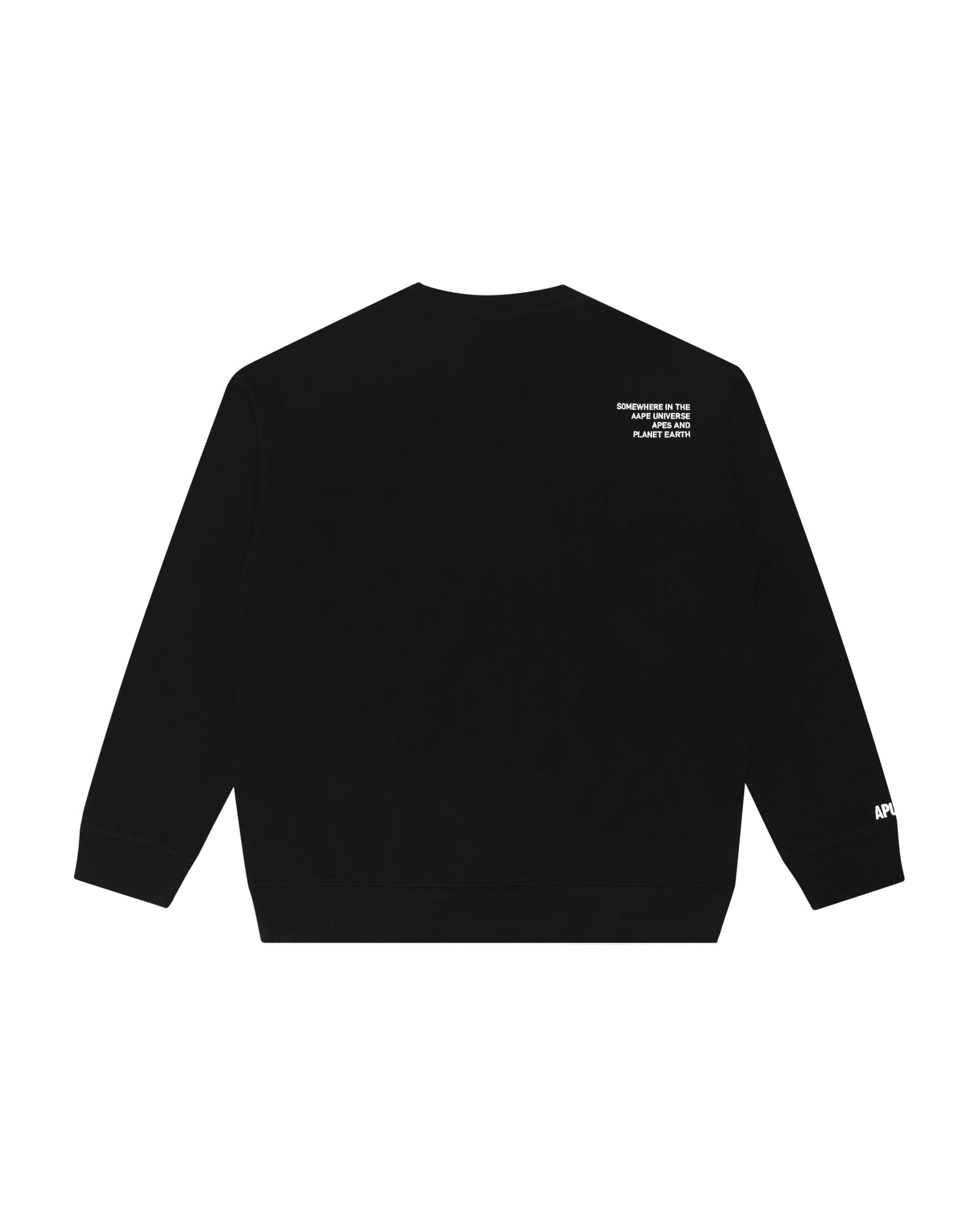 AAPE SWEATER
