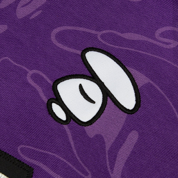 AAPE X MITCHELL & NESS RAPTORS HOODIE