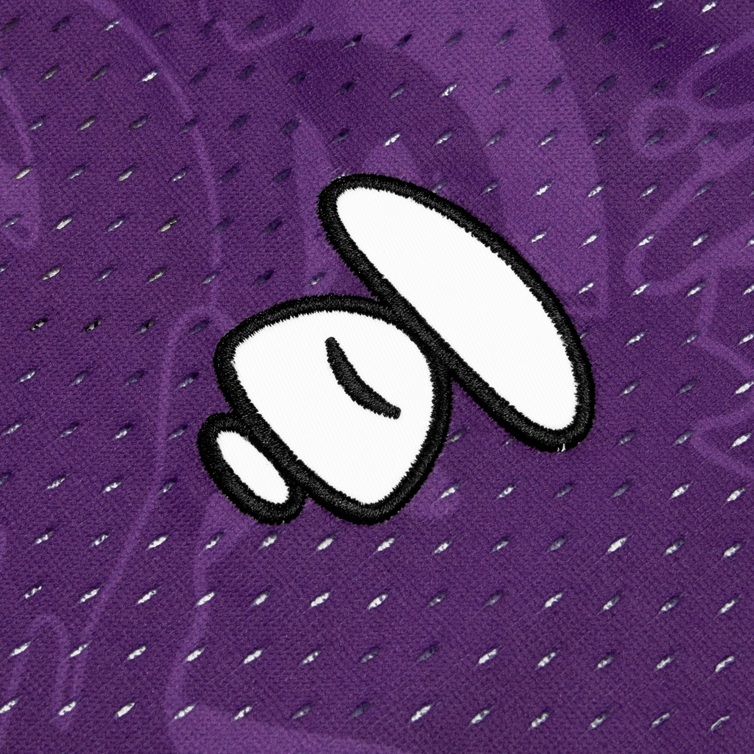 AAPE X MITCHELL & NESS RAPTORS MESH TEE