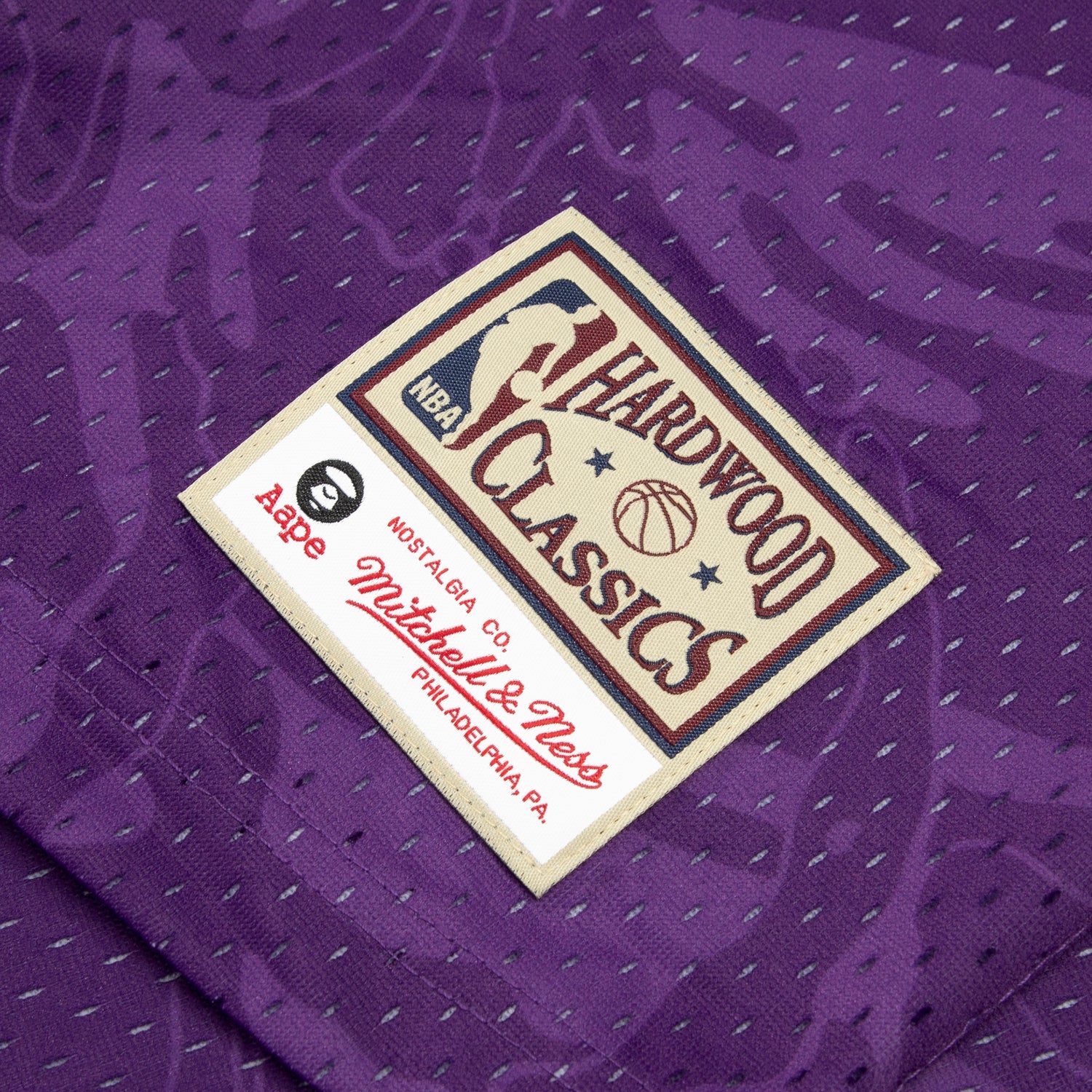 AAPE X MITCHELL & NESS RAPTORS MESH TEE