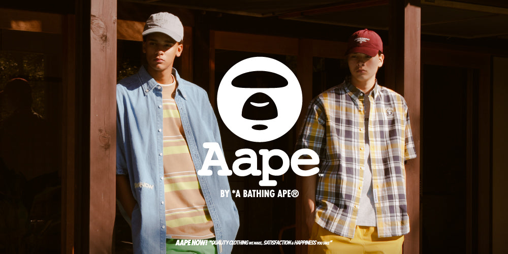 aapeus.com