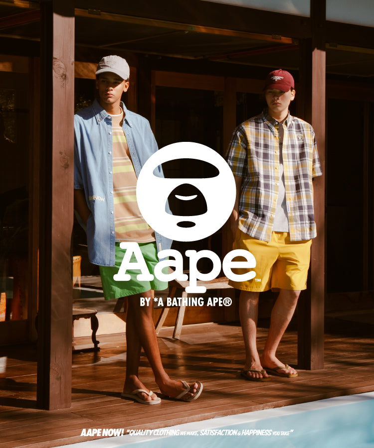 aapeus.com