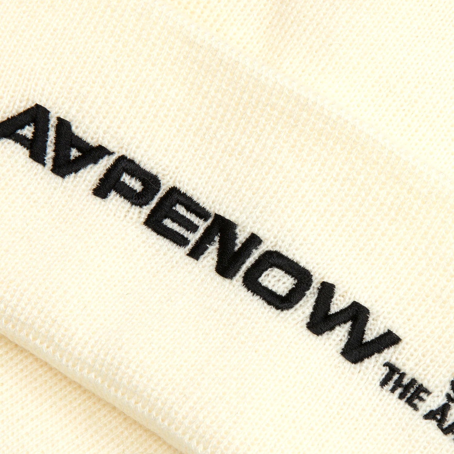 AAPENOW MOONFACE LOGO BEANIE