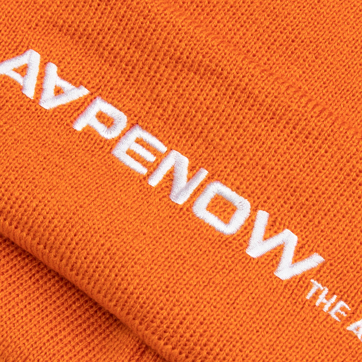 AAPENOW MOONFACE LOGO BEANIE