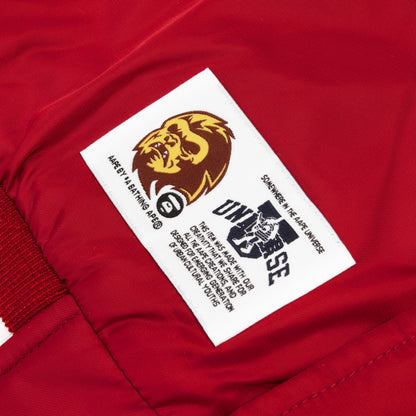 AAPE JACKET