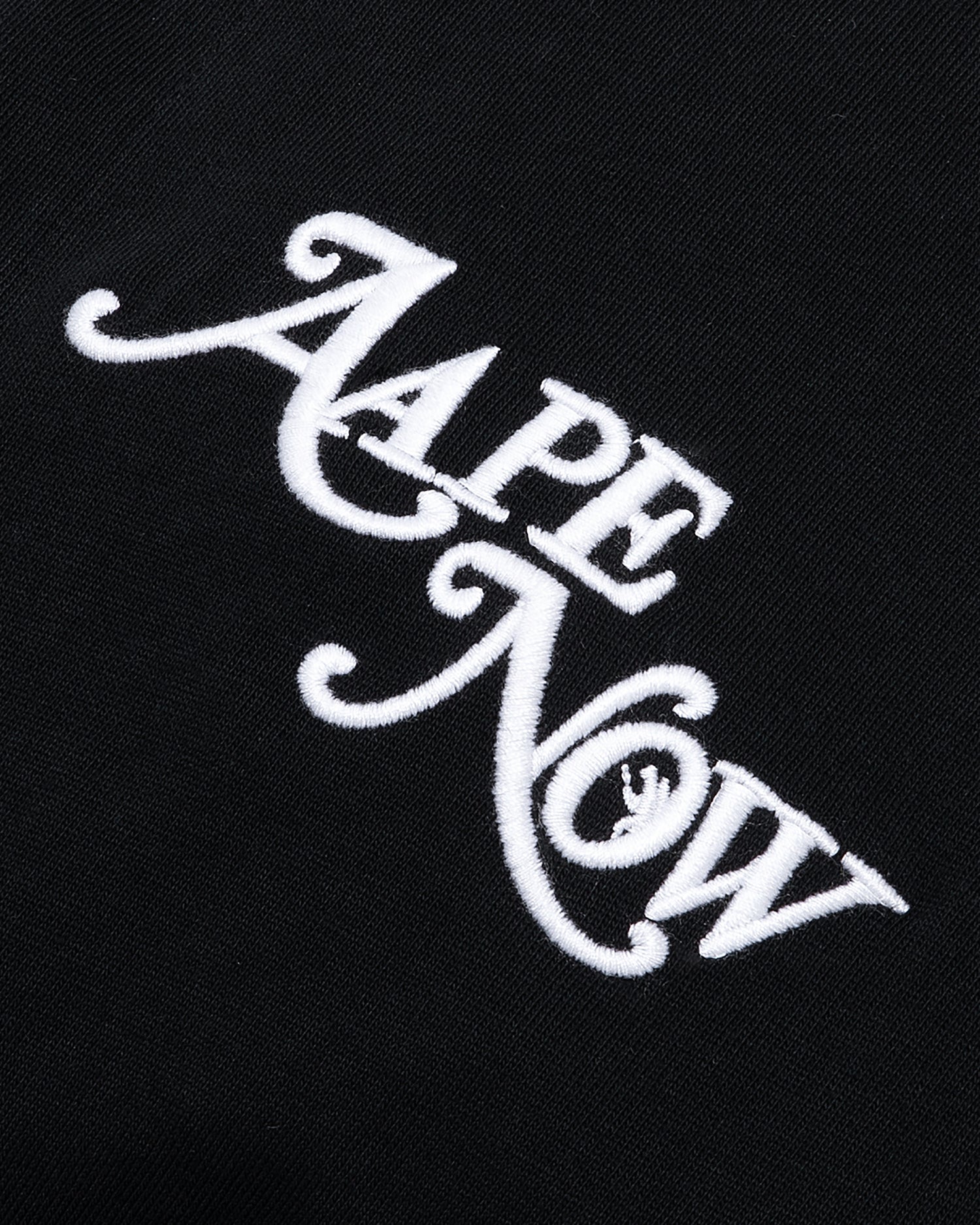 AAPE NOW HOODED TEE