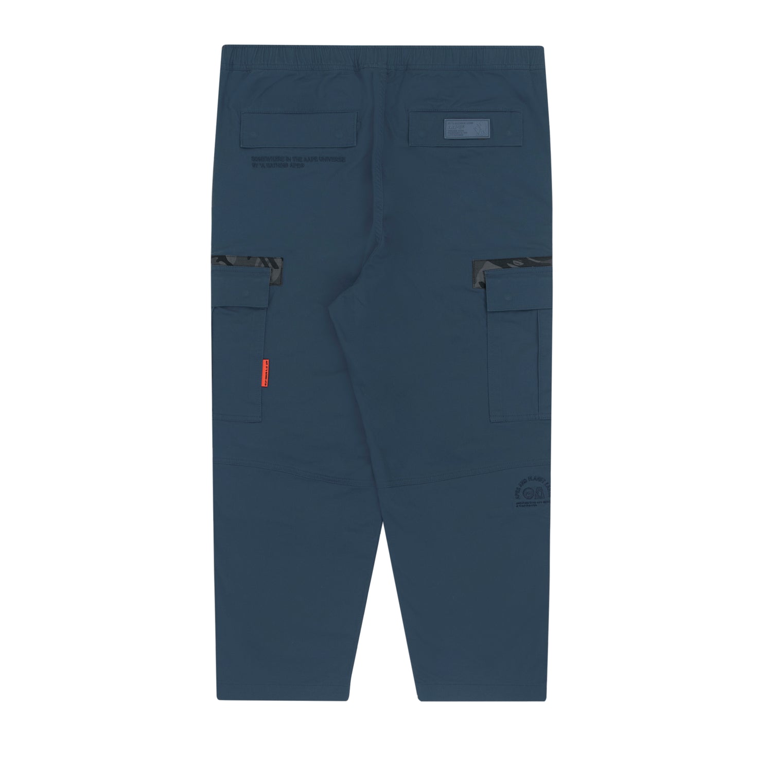 AAPE PLANET EARTH CARGO PANTS