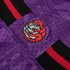 AAPE X MITCHELL &amp; NESS RAPTORS MESH SHORTS