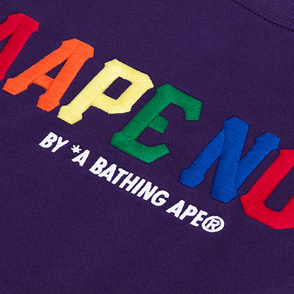 AAPE RAINBOW LOGO SWEATSHIRT